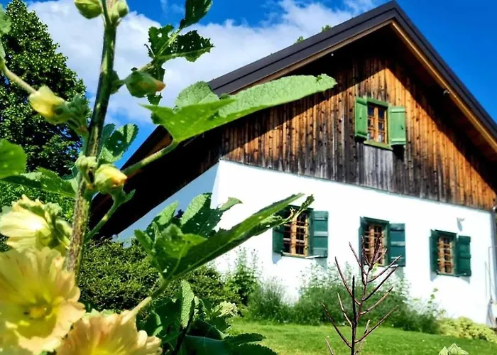 Estate Ana