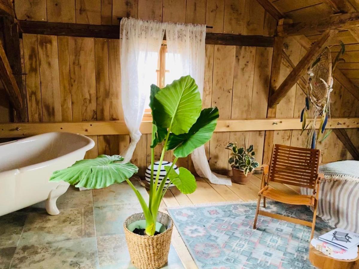 Estate Ana Country house