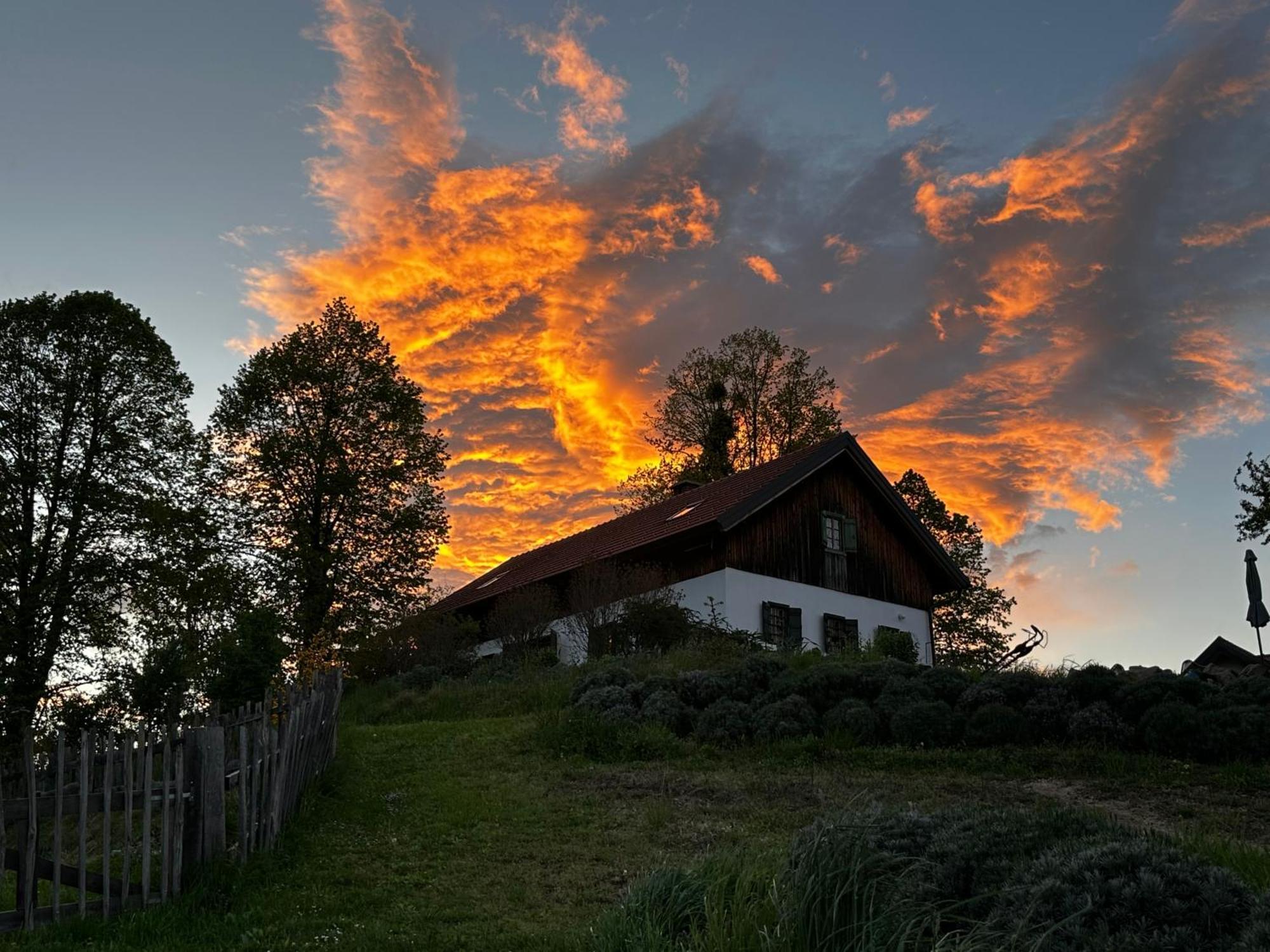 Estate Ana Country house